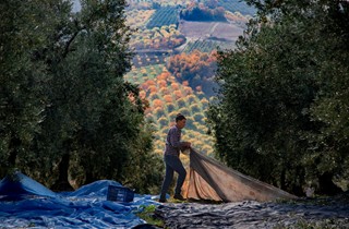 Gemlik'in en güzel fotoğraflarını çektiler